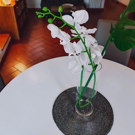 Borgo Pinti 49 Apartment ฟลอเรนซ์ ภายนอก รูปภาพ