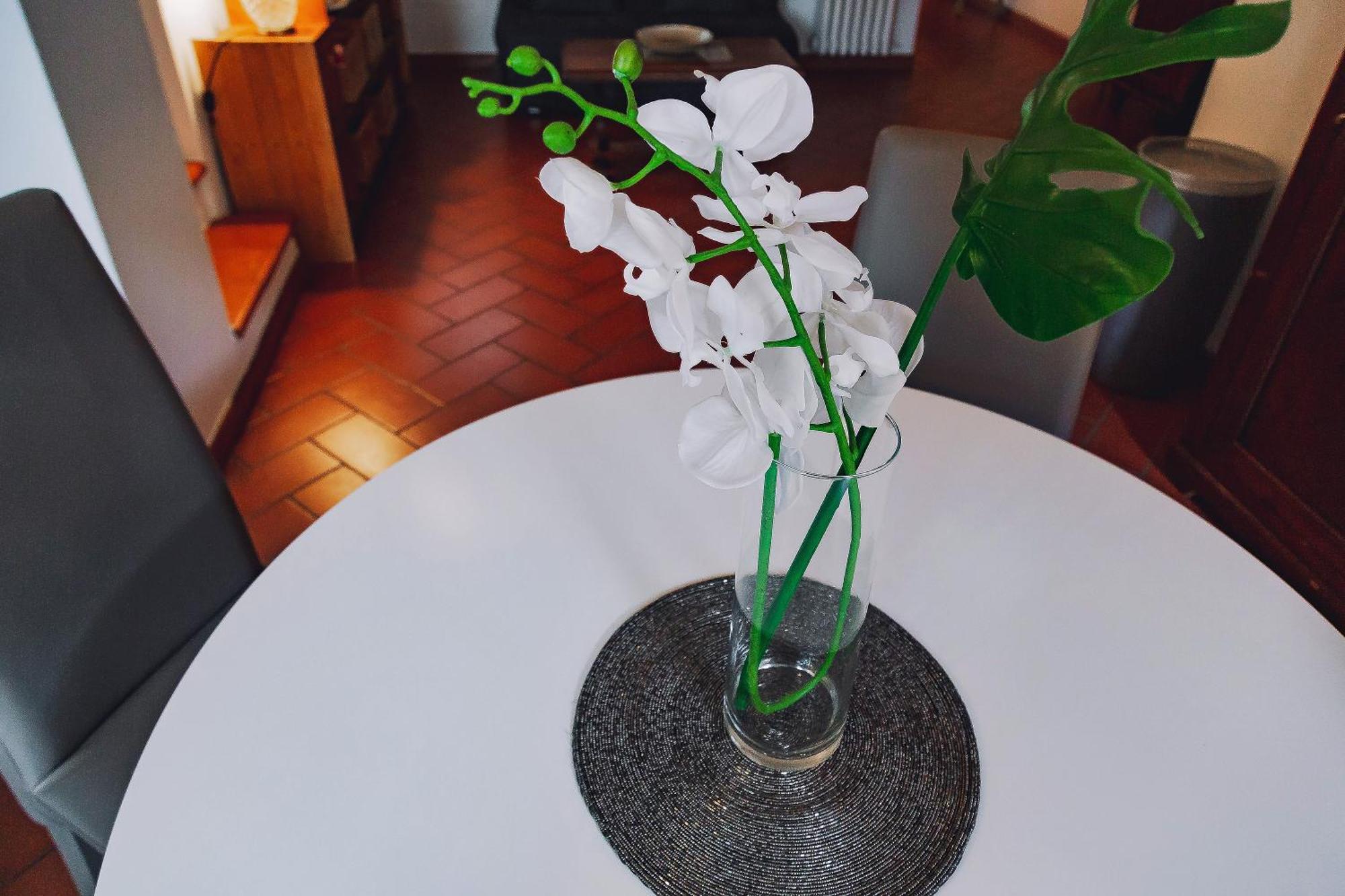 Borgo Pinti 49 Apartment ฟลอเรนซ์ ภายนอก รูปภาพ